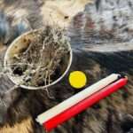 love spells,love spells near me