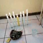 Best Traditional and Spiritual Healer in Narva