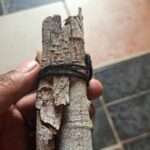 Umuthi Wokushaya Izitha Zami