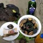 Best Traditional and Spiritual Healer in Waterford
