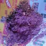Indian Holy Ash