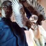 Intindili Disadvantages