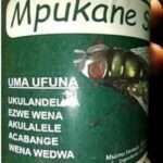 Isichitho Se Mpukane