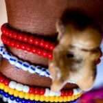 Best Traditional and Spiritual Healer in Szeged
