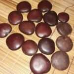 Lucky Bean Intindili tree