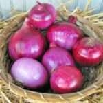 Onion Love Spell