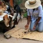 Best Traditional and Spiritual Healer in Ettelbruck