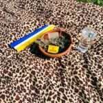 Best Traditional and Spiritual Healer in Prizren