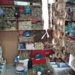 Best Traditional and Spiritual Healer in Podgorica