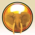 Vimbela For Protection