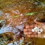 WHAT TYPES OF SPIRITUAL CLEANSING ARE OFFERED IN GAUTENG?